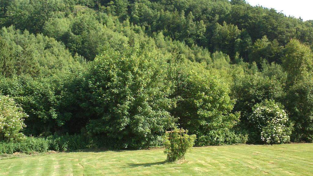 La Cle Des Champs Villa Bertogne Buitenkant foto